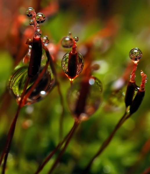 20110819_f0cffb3597750173aaebxUAF6m2X5GIK.jpg