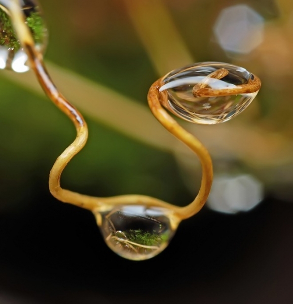 20110819_f3c5a8ce4f42e6876e3dUaTqEHaspArt.jpg