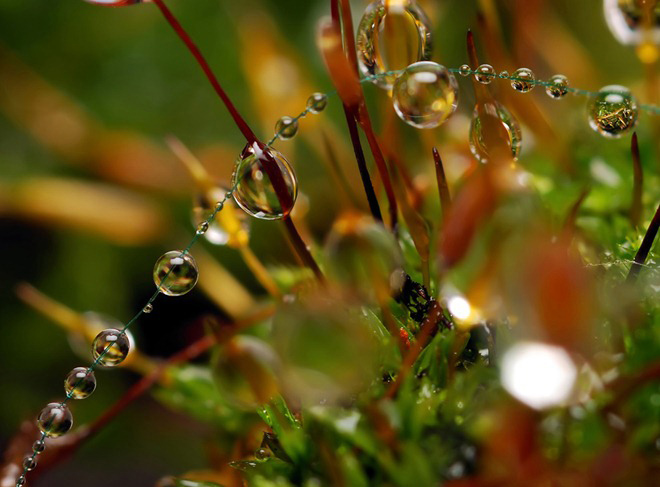 20110819_f95c95983e4d6b0856c6TPuH7iSBeO7o.jpg