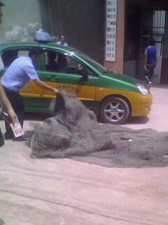 IMG0762A.jpg