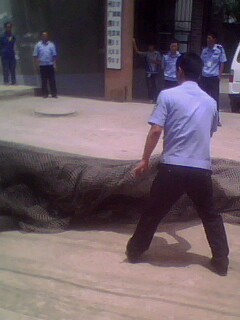 IMG0763A.jpg