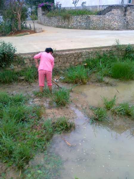 20110823117.jpg