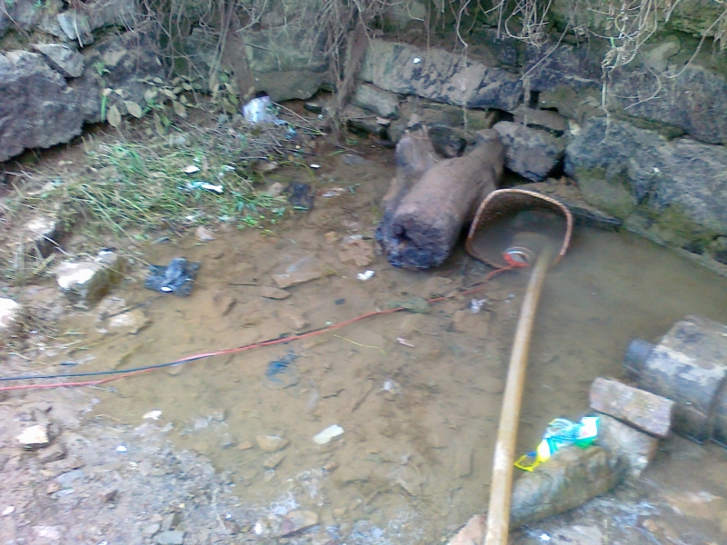 20110823128.jpg