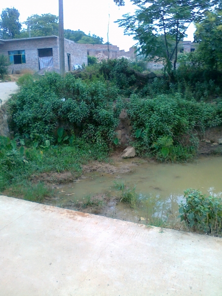 20110823134.jpg