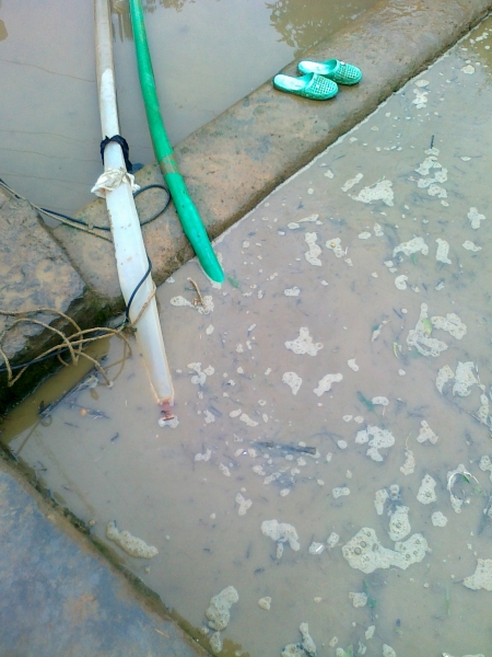 20110823118.jpg