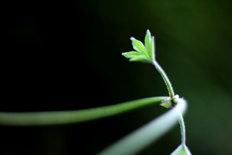 DPP_08270011.JPG
