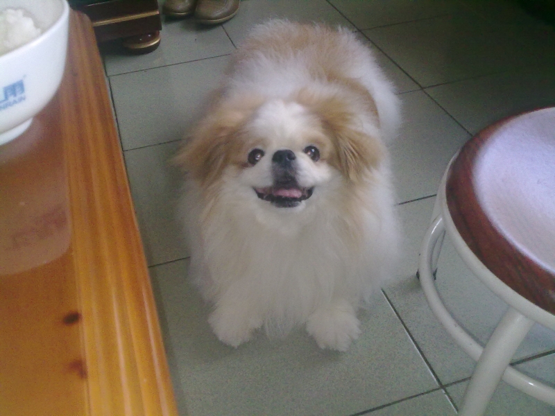 20110619385.jpg