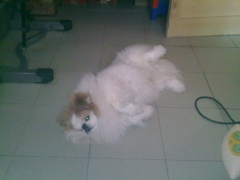 20110410315.jpg