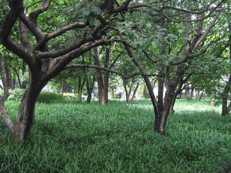 2011.6.21 016.jpg