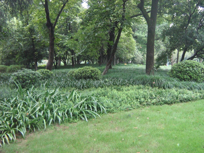 2011.6.21 027.jpg