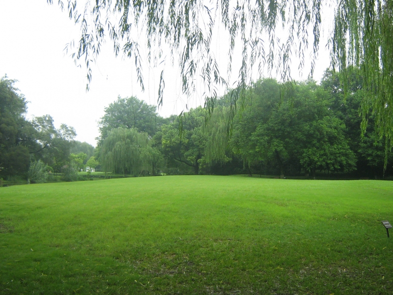 2011.6.21 078.jpg