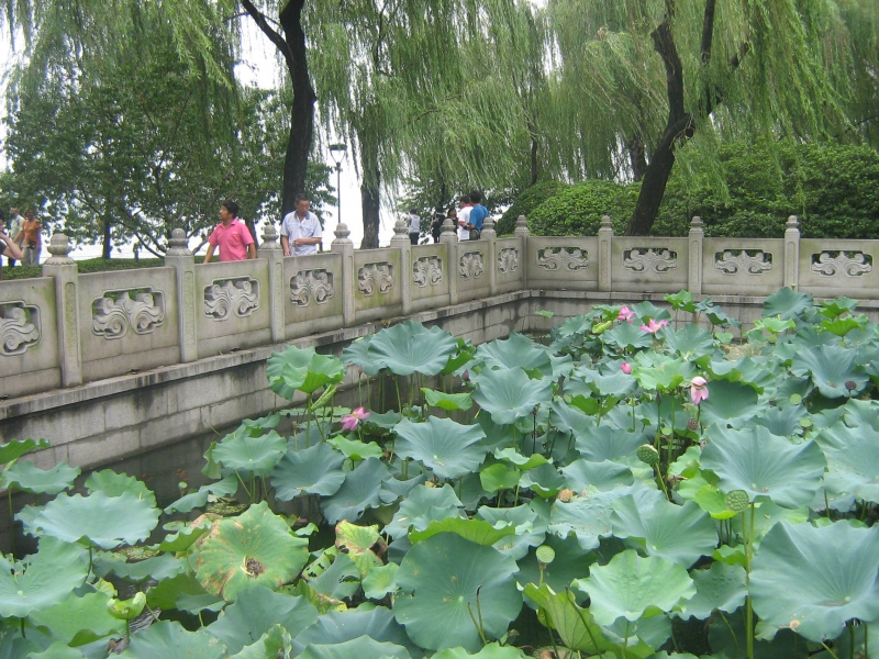 2011.6.21 119.jpg