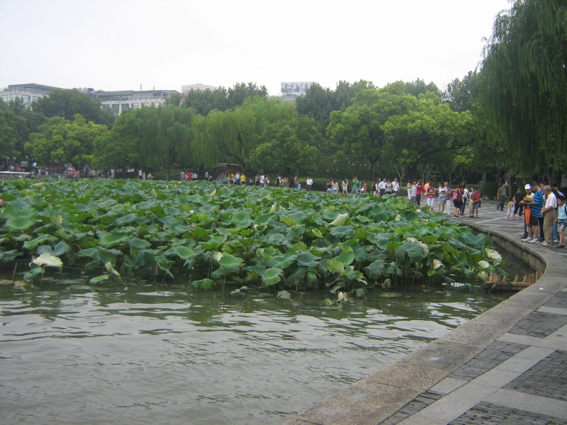 2011.6.21 184.jpg