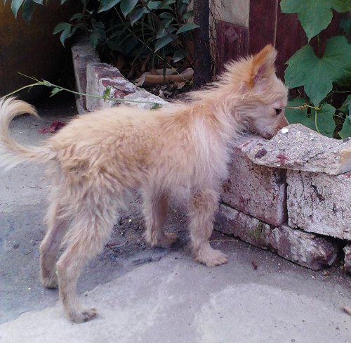 Camera_20110903_163639.jpg