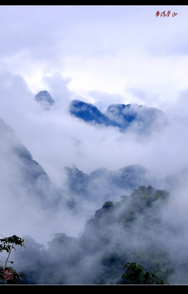 _DSC2669.jpg