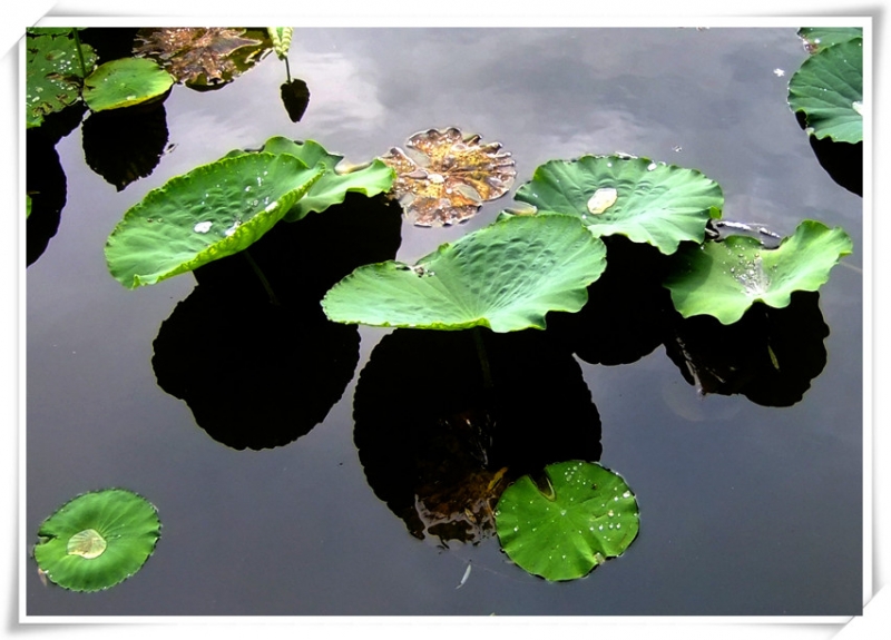 DSCF6461_.jpg