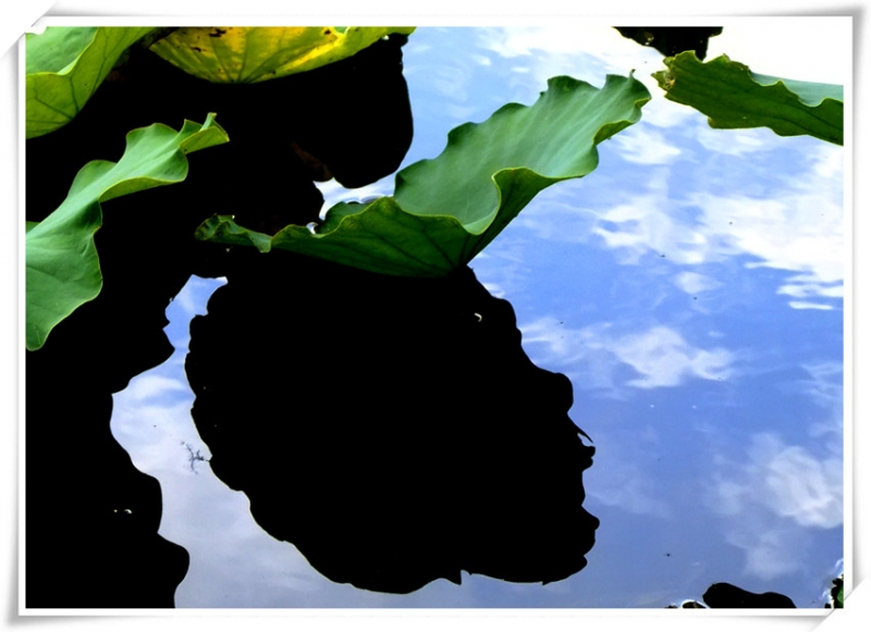 dscf6466_.jpg