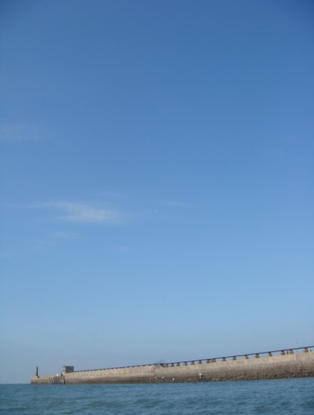 41564646.jpg