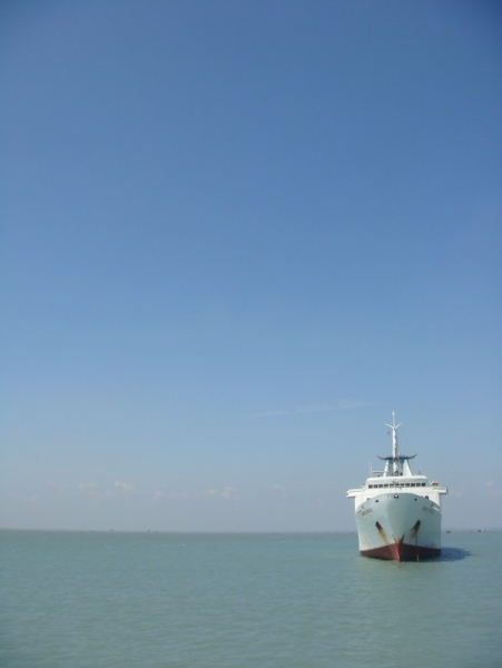 1564156465.jpg