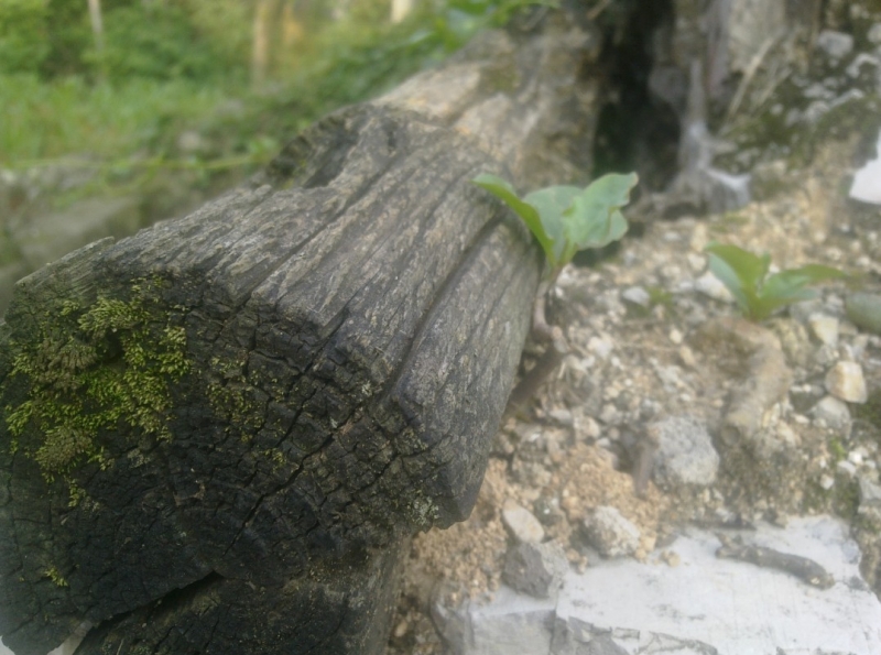 1654156465.jpg