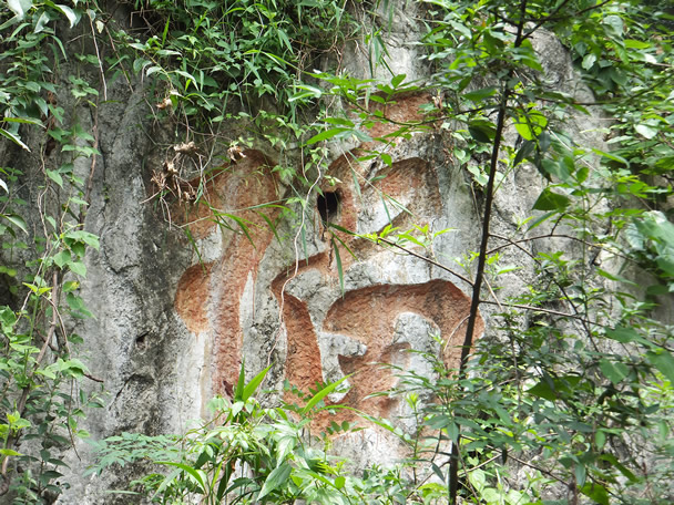 DSCF0053.jpg1.jpg