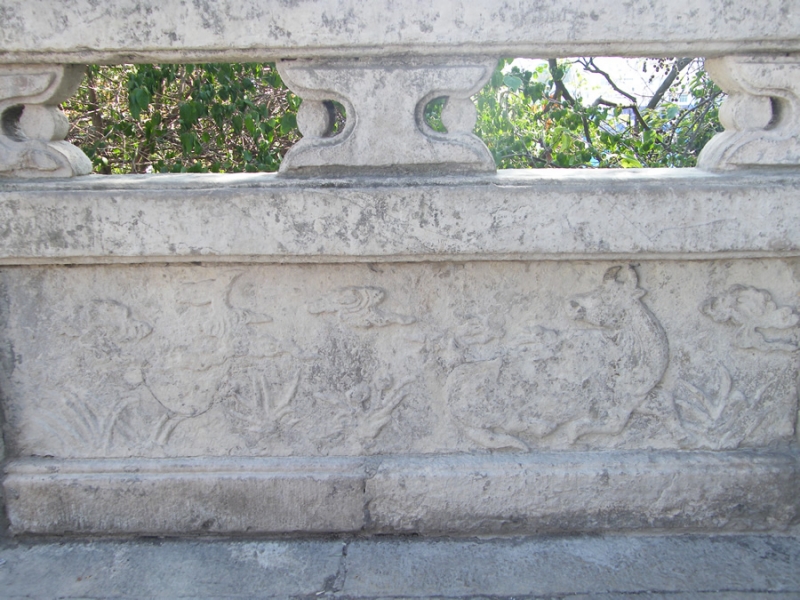 DSCF1117.jpg