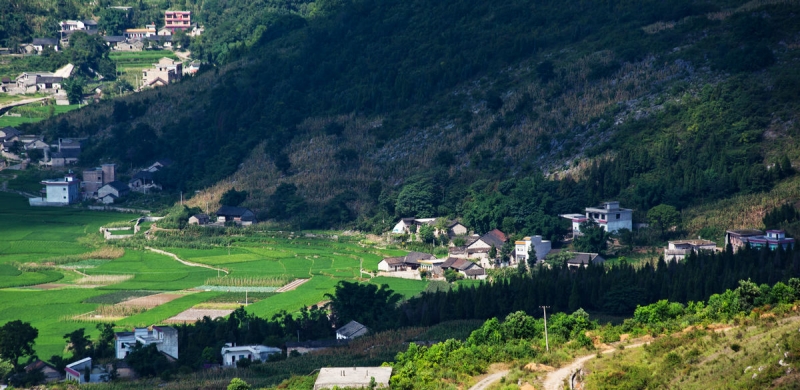 _MG_3684.jpg