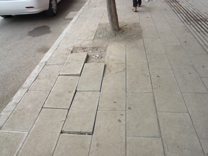P1020819.JPG