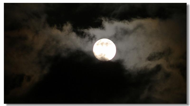20110910-152.jpg
