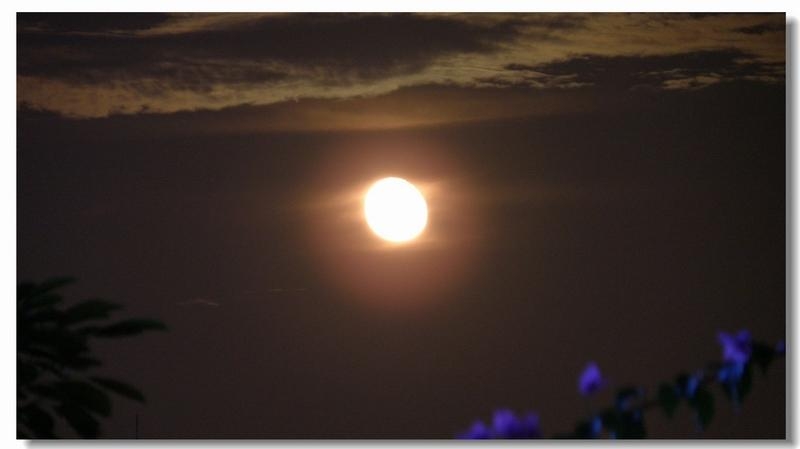 20110910-153.jpg
