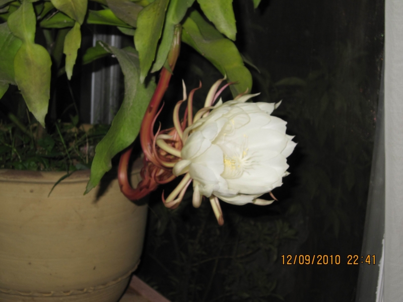 IMG_0022.jpg