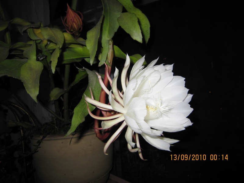 IMG_0053.jpg