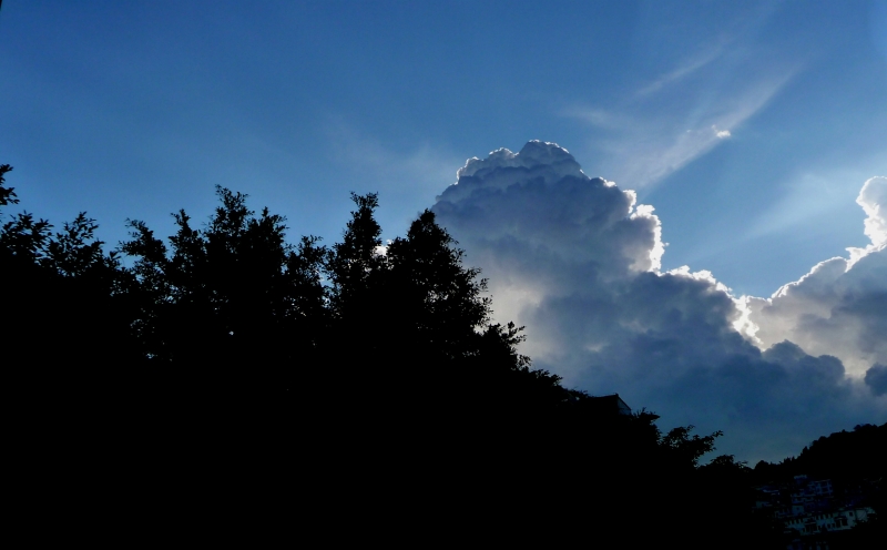 P1030058c.jpg