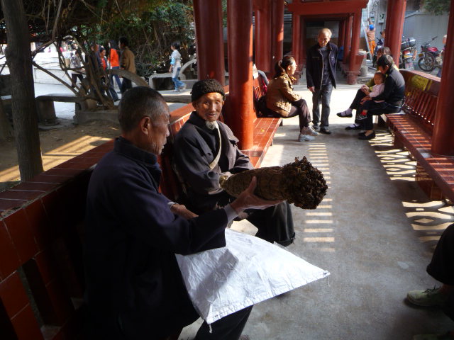 P1040579.JPG