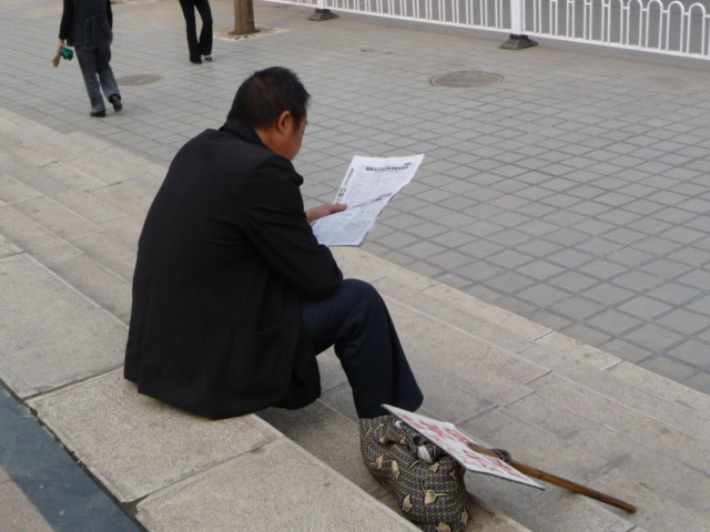 P1040581.JPG