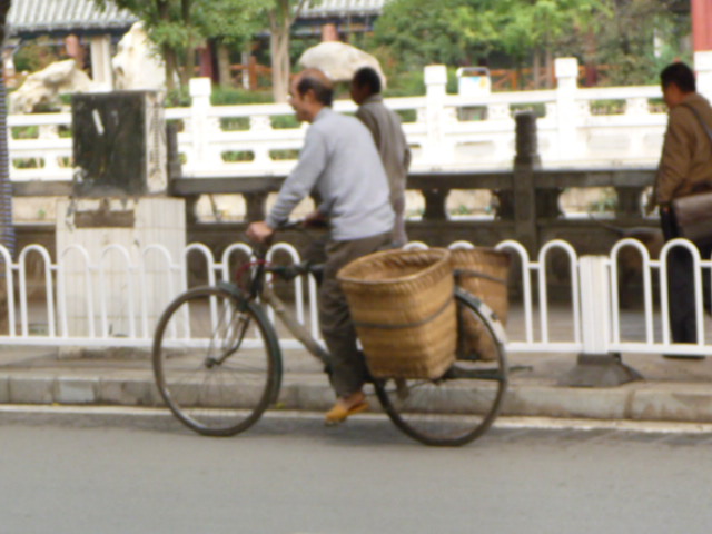 P1040590.JPG