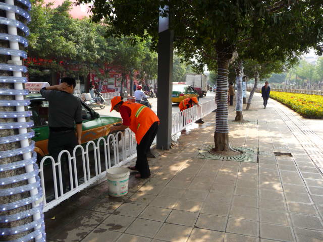 P1040645.JPG