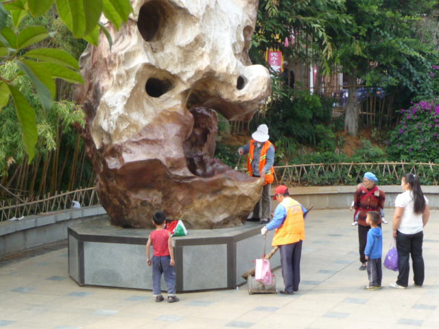P1040630.JPG