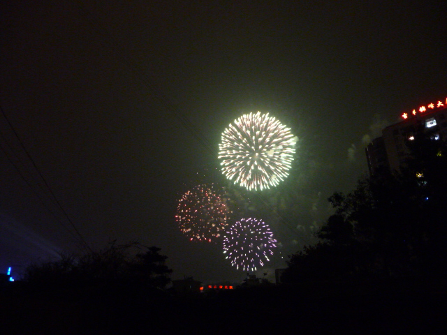 P1040691.JPG