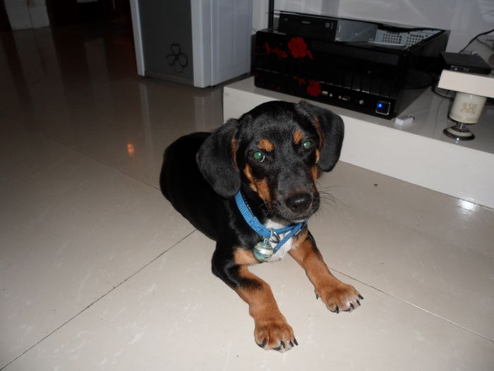 SAM_0359_nEO_IMG.jpg