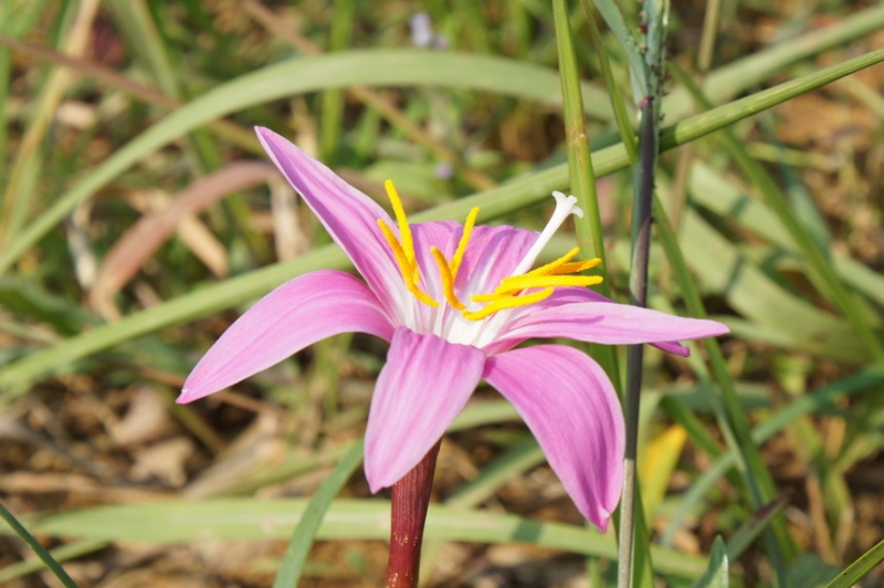 DSC01315.JPG