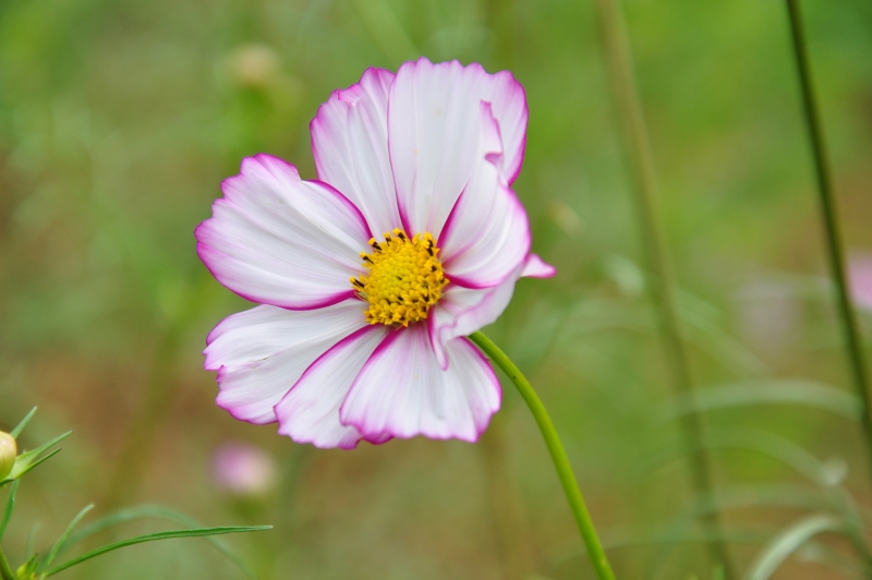 DSC_0073.JPG