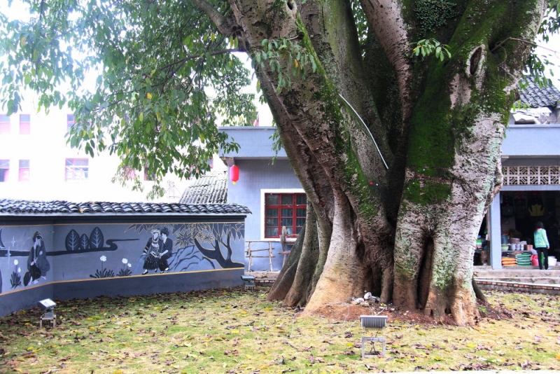 岼կ002.JPG