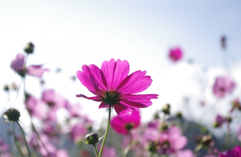 QQͼ20111010145935.jpg