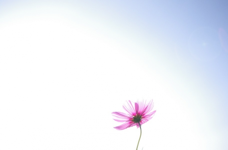 QQͼ20111010150016.jpg