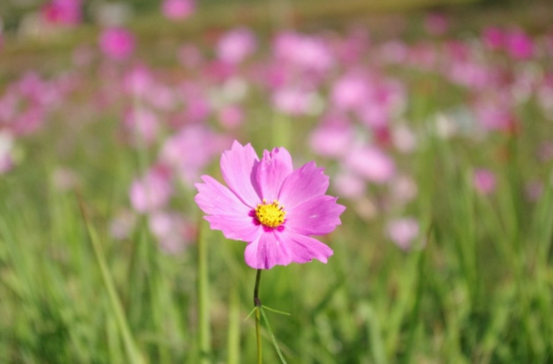 QQͼ20111010145957.jpg