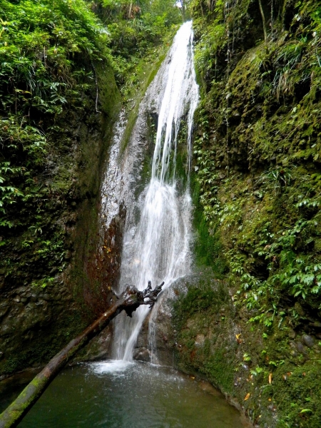 DSCN2501.jpg