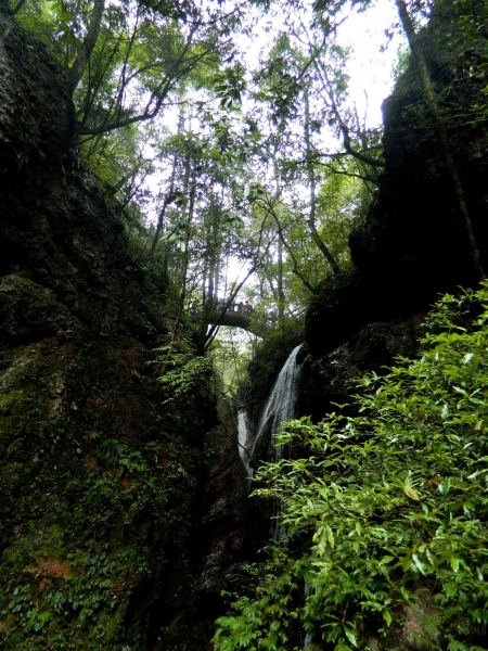DSCN2522.jpg