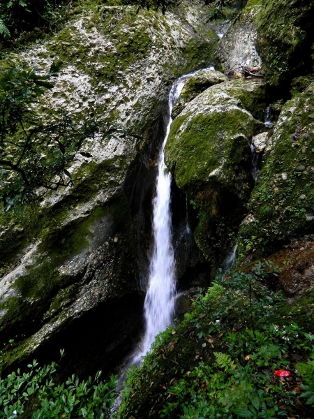 DSCN2591.jpg