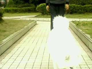 IMG-10081537aa.jpg